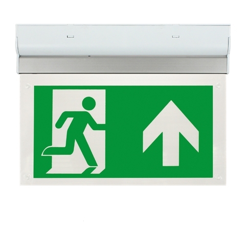 LED_Emergency_exit_sign(5).jpg